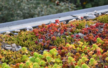 the cost of Newbrough green roof installation