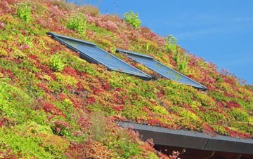Newbrough living roof systems