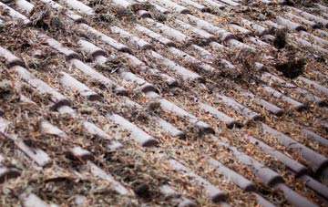 Newbrough roof cleaning companies