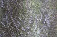 Newbrough fibreglass roof work